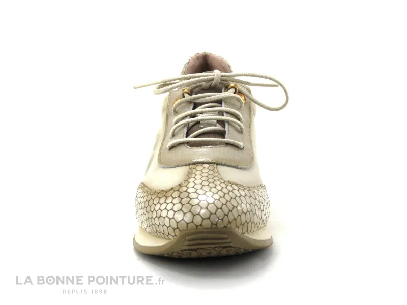 Achat chaussures Hispanitas Femme Basket, vente Hispanitas KILIMANJARO HI00470 - Beige - Python verni - Basket Femme