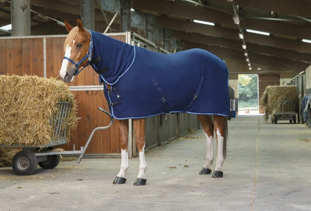 Chemise polaire Riding World Combo pour Cheval