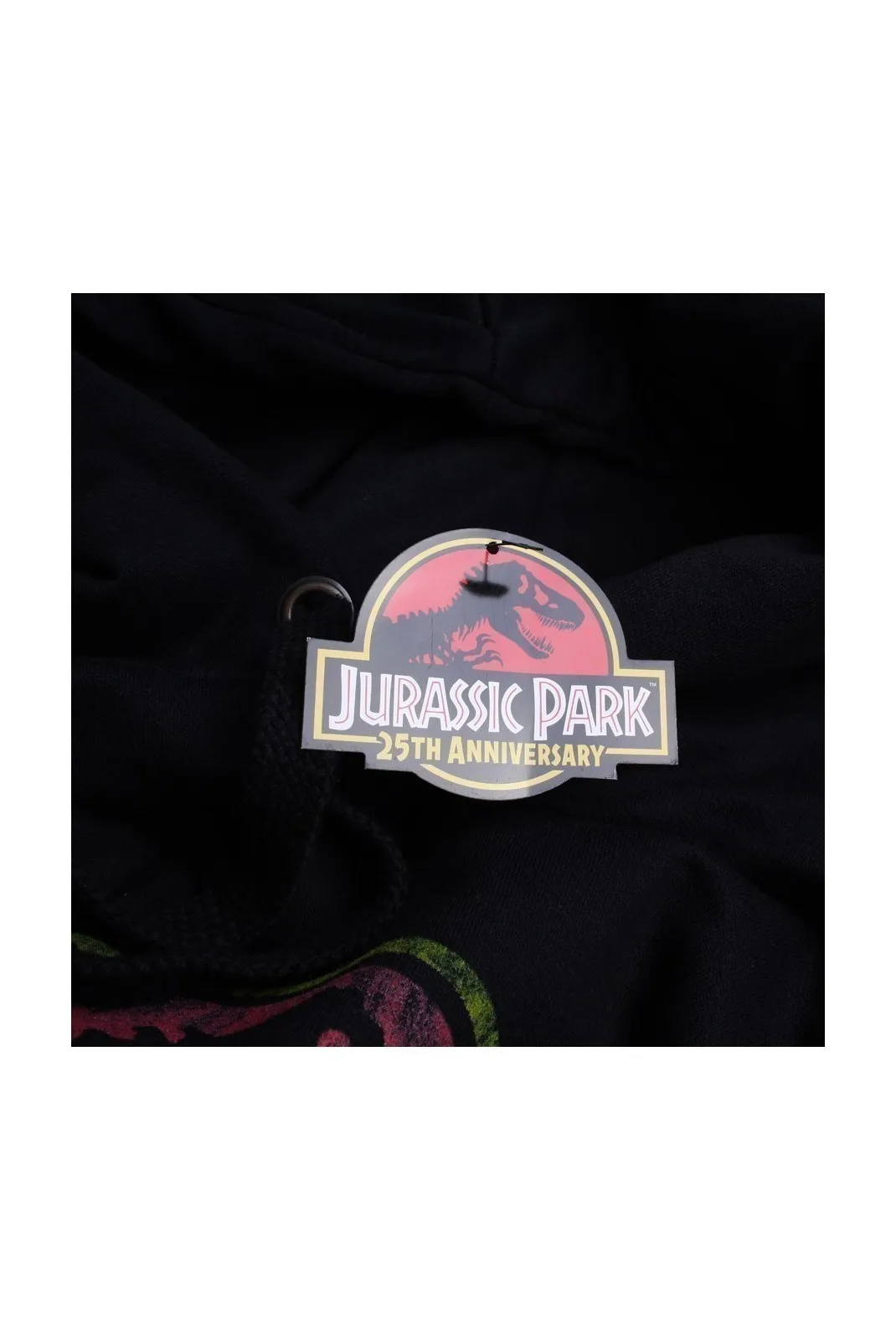 Sweatshirt - JURASSIC PARK - Distressed Logo - Black - GBMHS346BLK